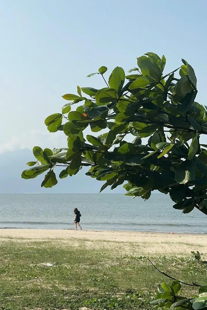 Wind Homestay & Apartment Da Nang Vietnam